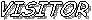 VISITOR 